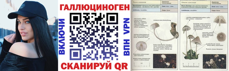 гидра зеркало  Нововоронеж  Галлюциногенные грибы ЛСД 